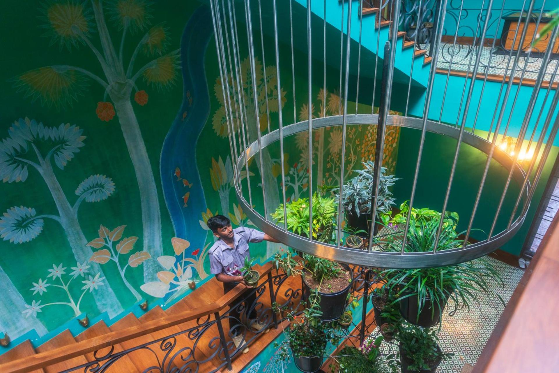 Dendrobium House 53