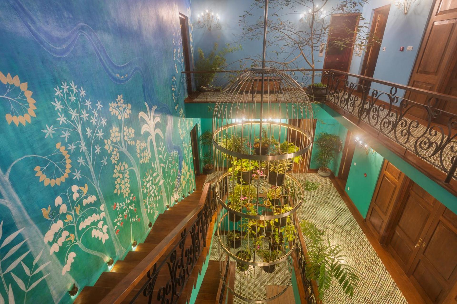 Dendrobium House 55