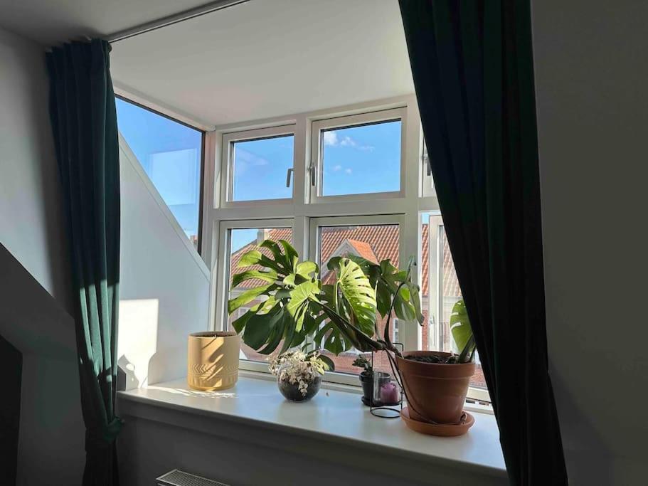 Penthouse: Copenhagen delight