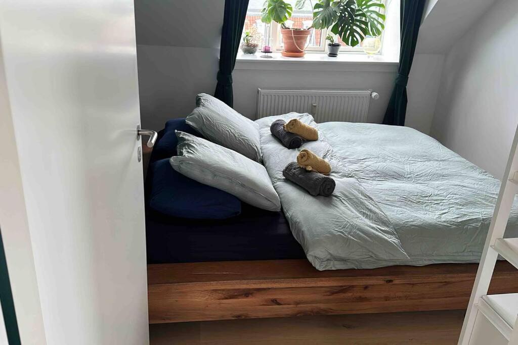 Penthouse: Copenhagen delight