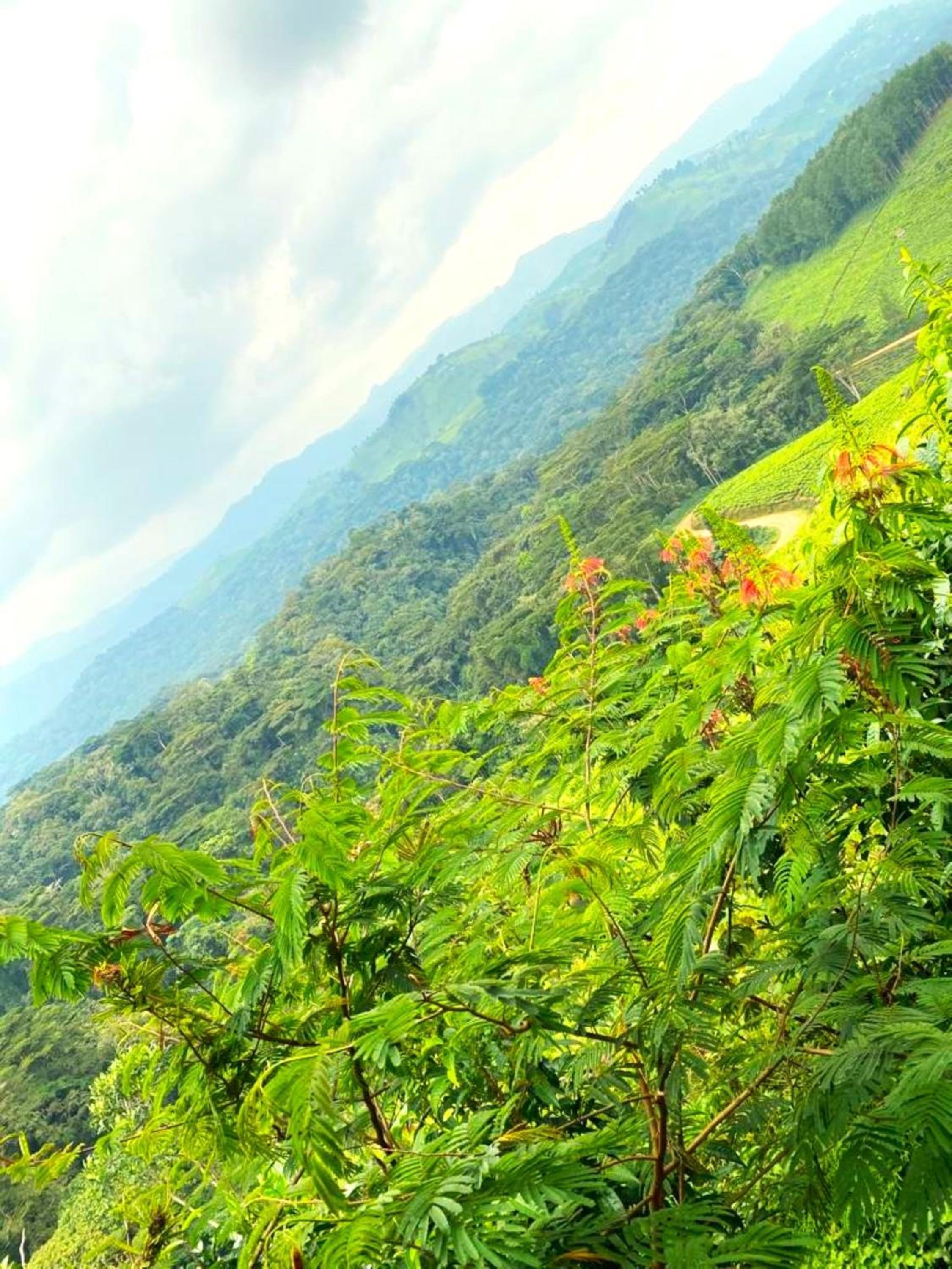 Bwindi Neckview Lodge