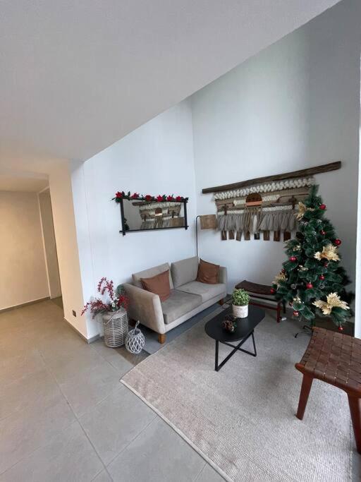 Departamento Villarrica 4 pers.