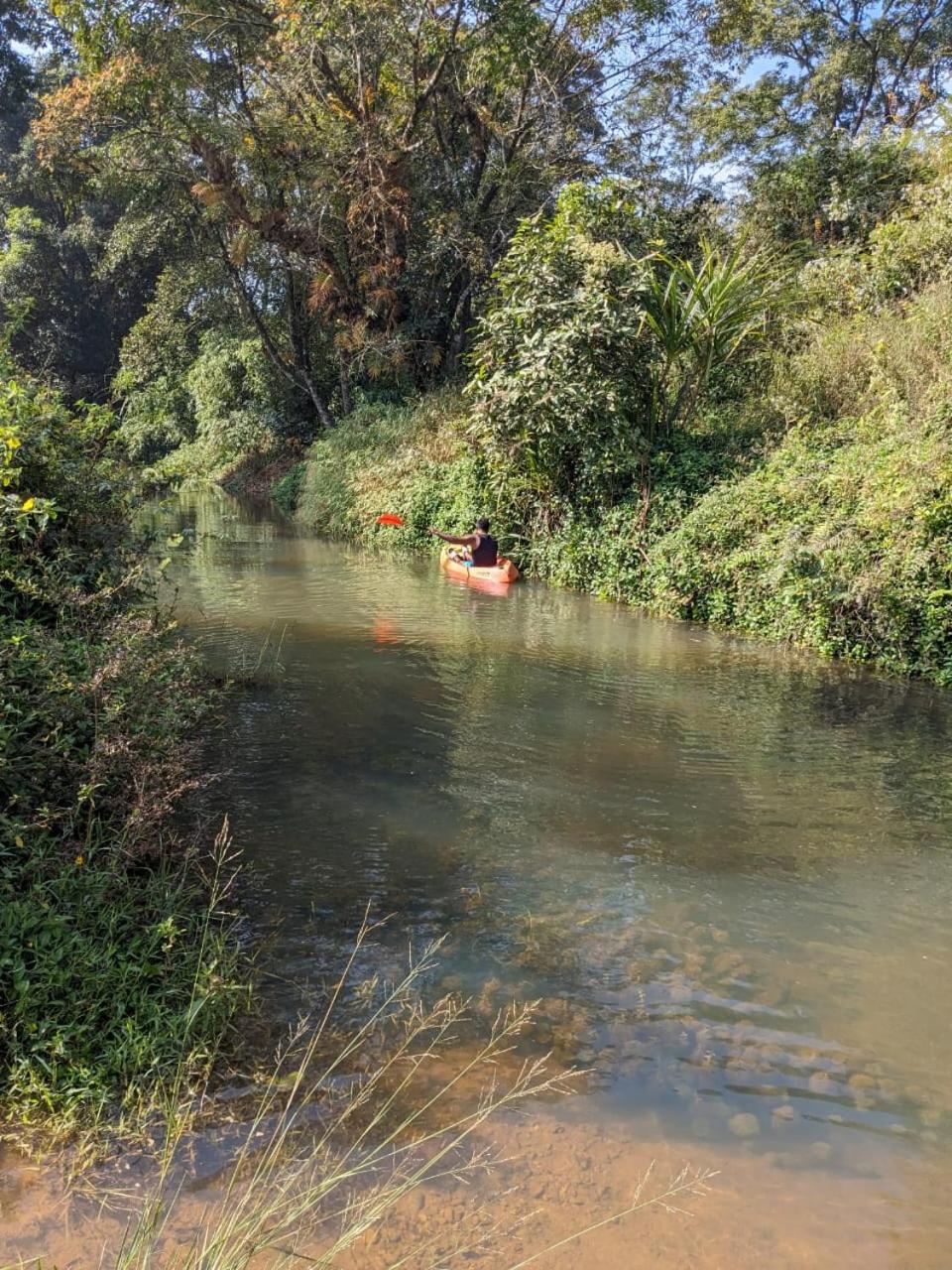 Nature Spot Cottages Coorg view 5