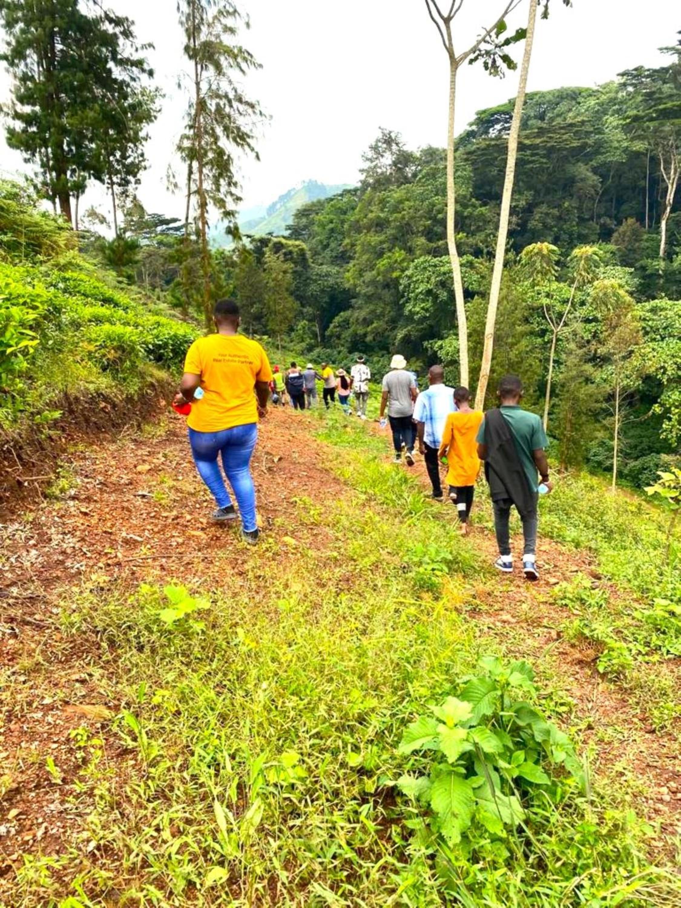Bwindi Neckview Lodge