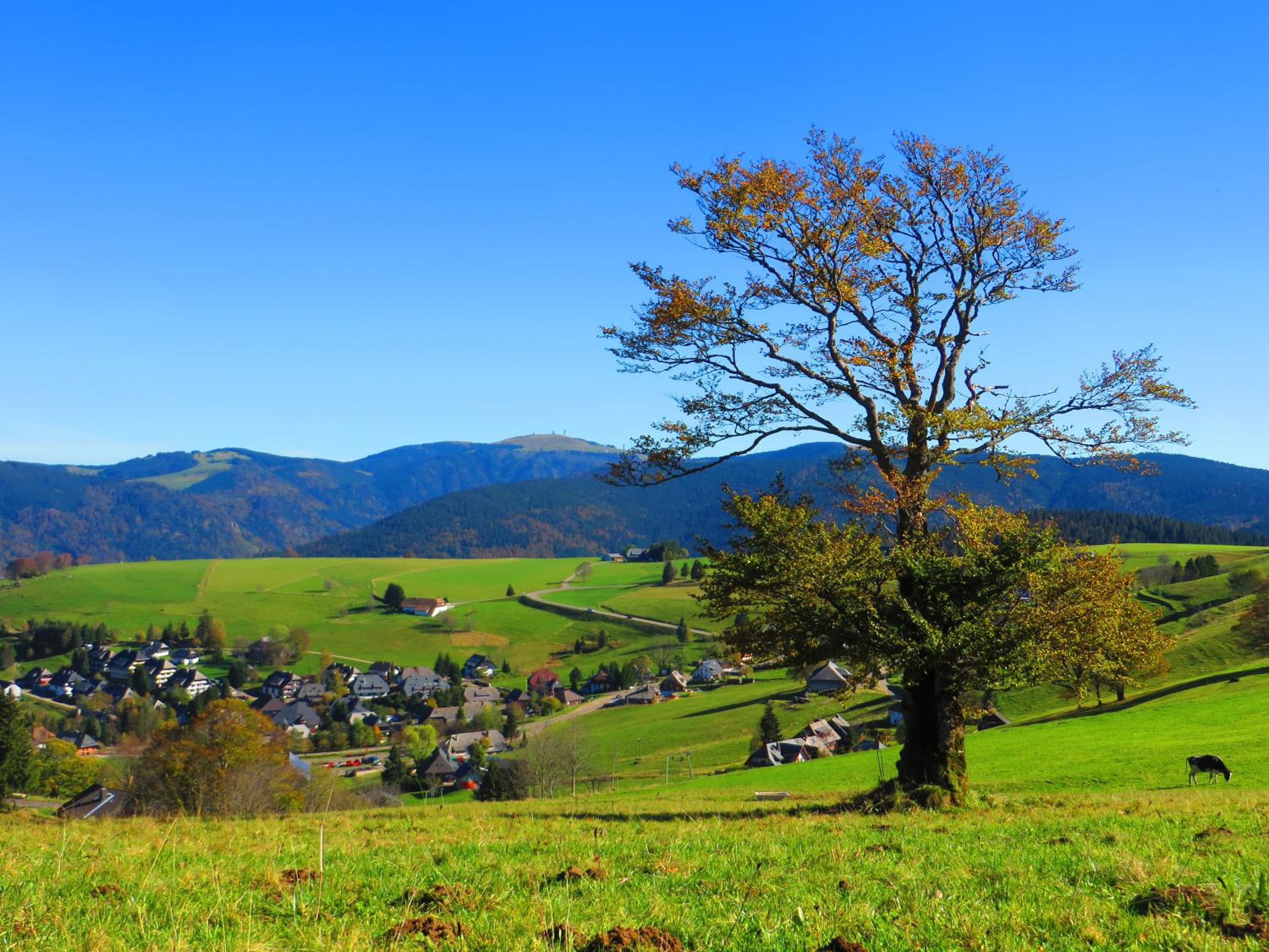 Sport Rees - Ferienwohnung Anna