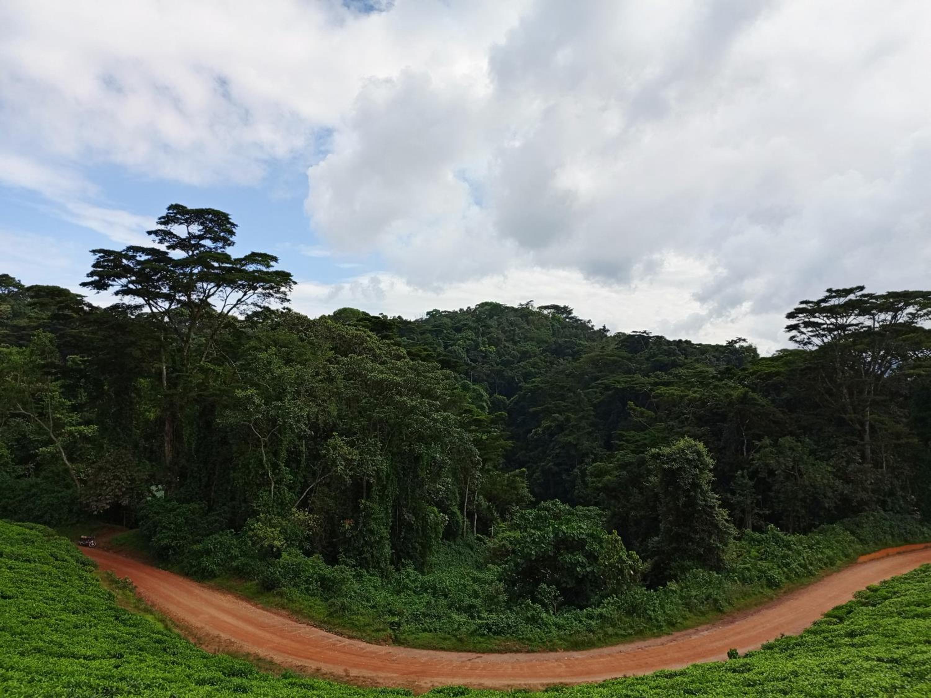 Bwindi Neckview Lodge