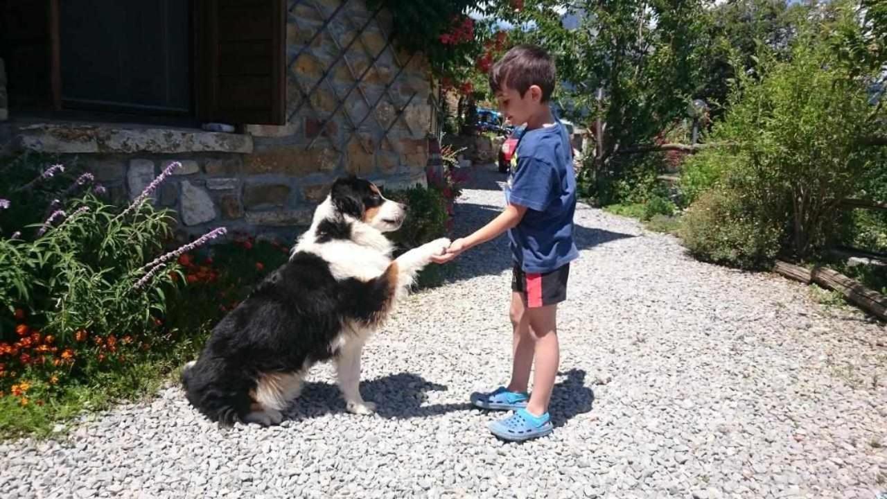 Photo 26