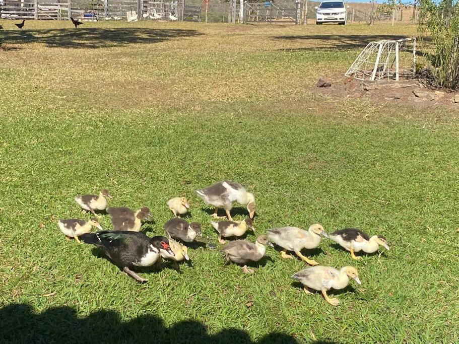 Estância Tordesilhas - espaço de descanso e lazer!
