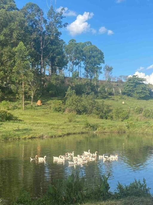 Estância Tordesilhas - espaço de descanso e lazer!