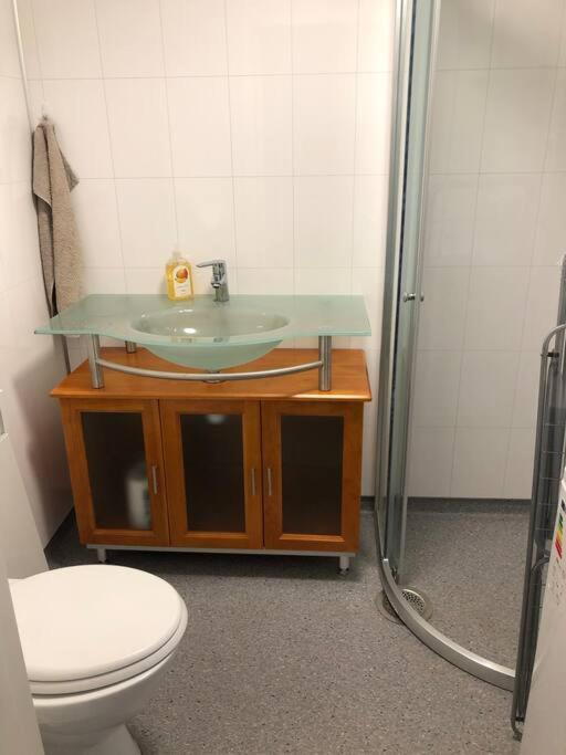 Nyrestaurert og koselig hytte ved Skjelbredvatnet.