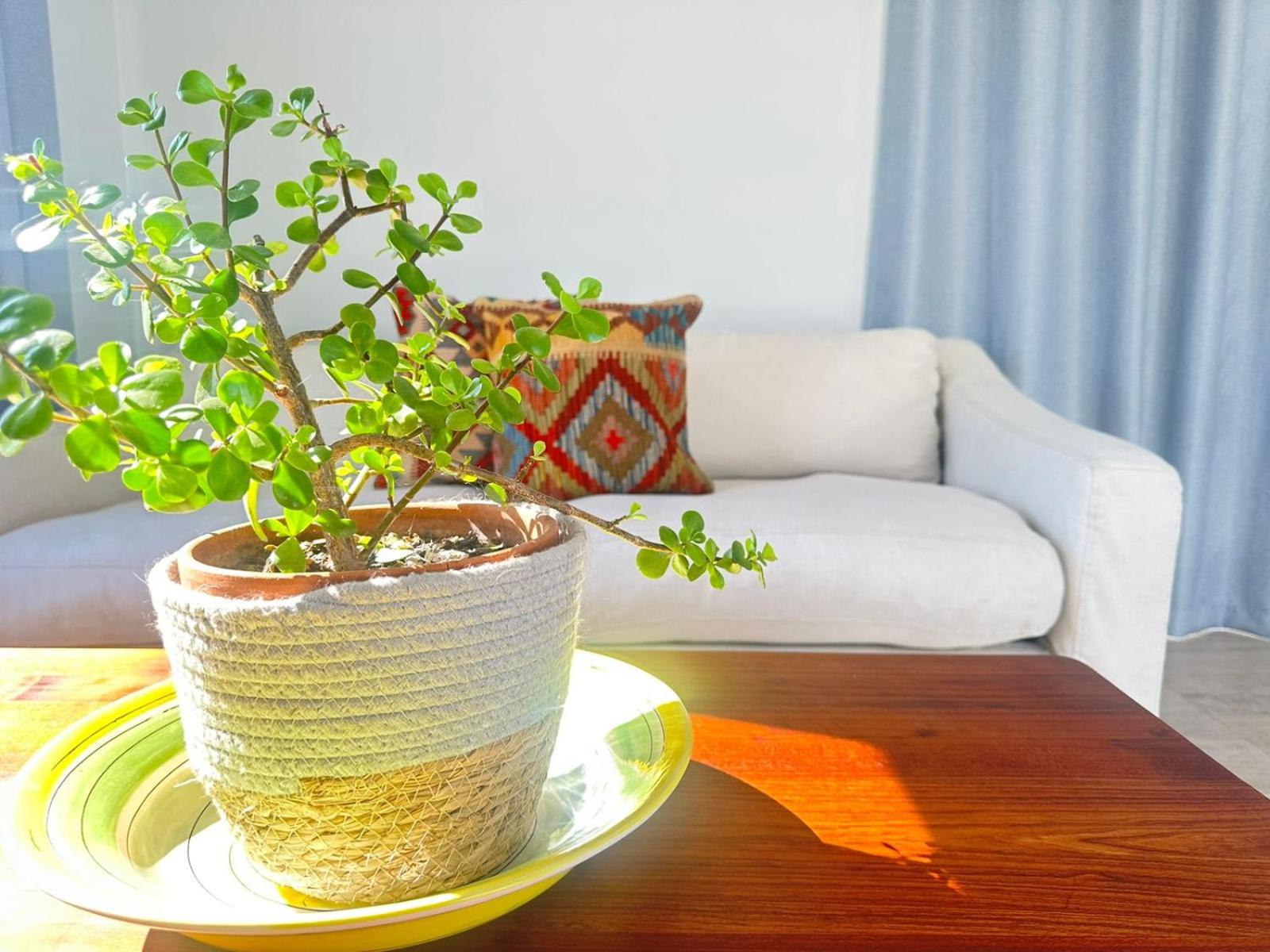Brunia Bay Apartment