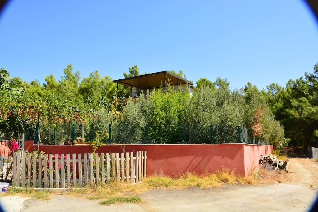 ormanın içinde geniş havuzlu triplex villa view 3