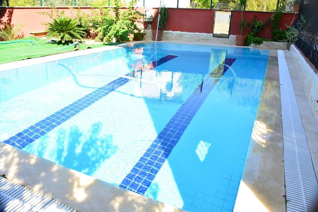 ormanın içinde geniş havuzlu triplex villa view 4