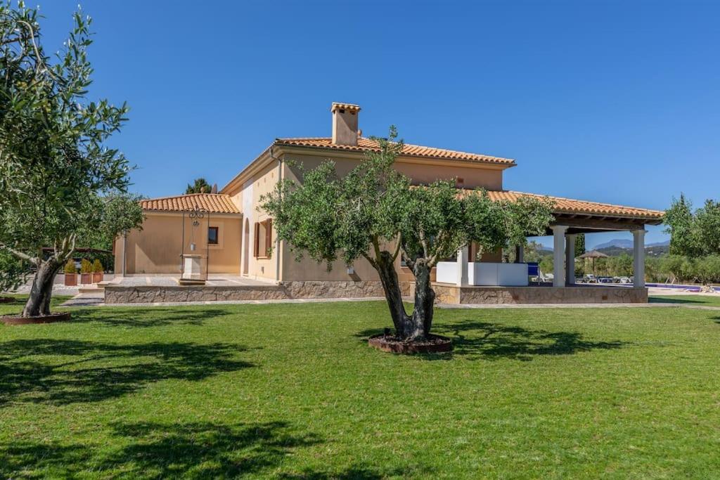 Moderne Finca, Alleinlage, 15min zum Playa del Muro view 2