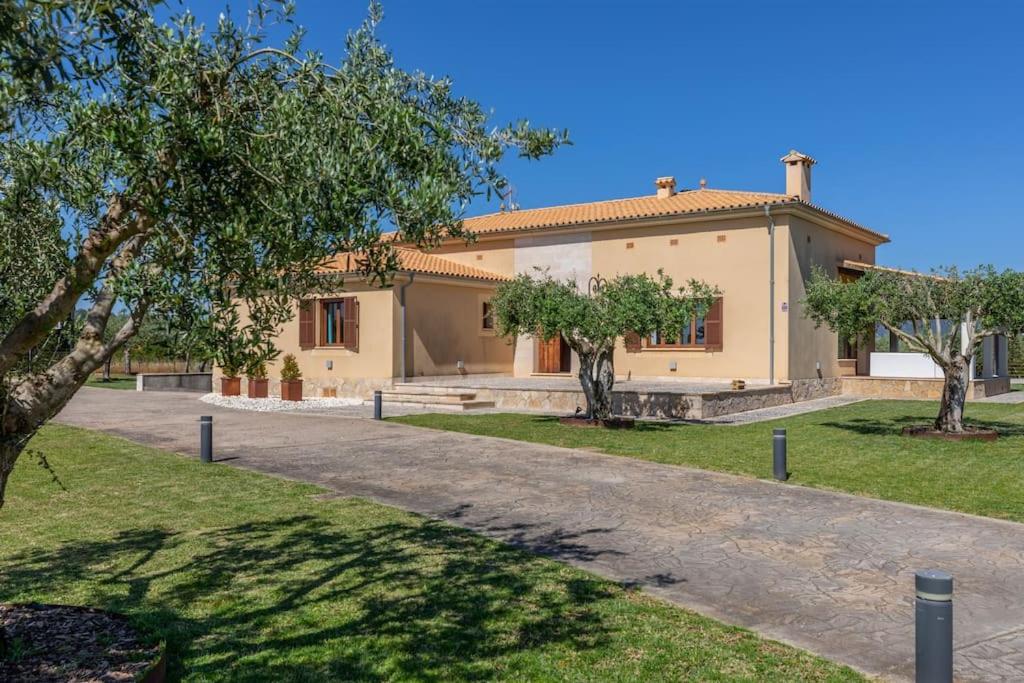 Moderne Finca, Alleinlage, 15min zum Playa del Muro view 3