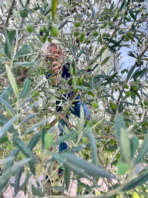 Photo 54