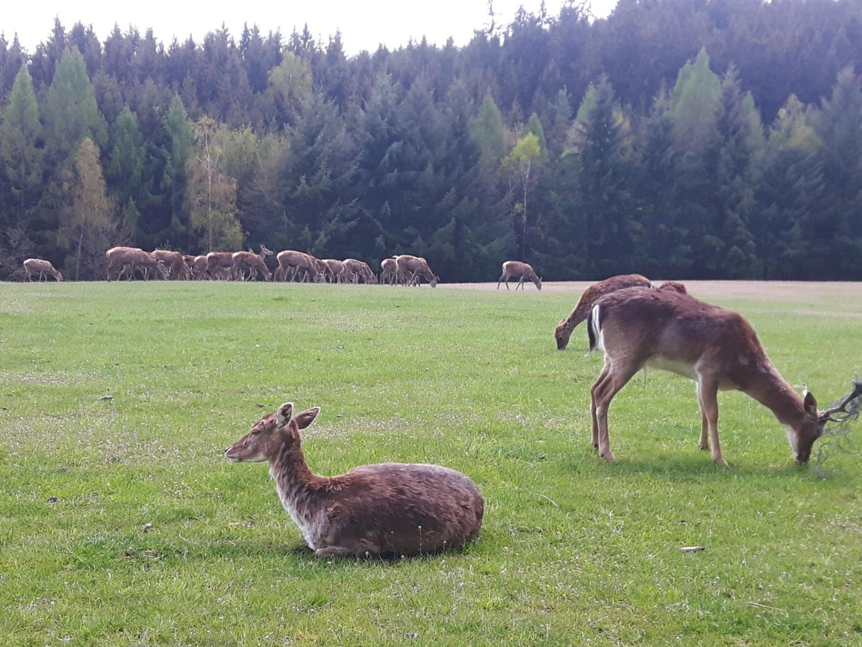 Am Quellenhäuschen