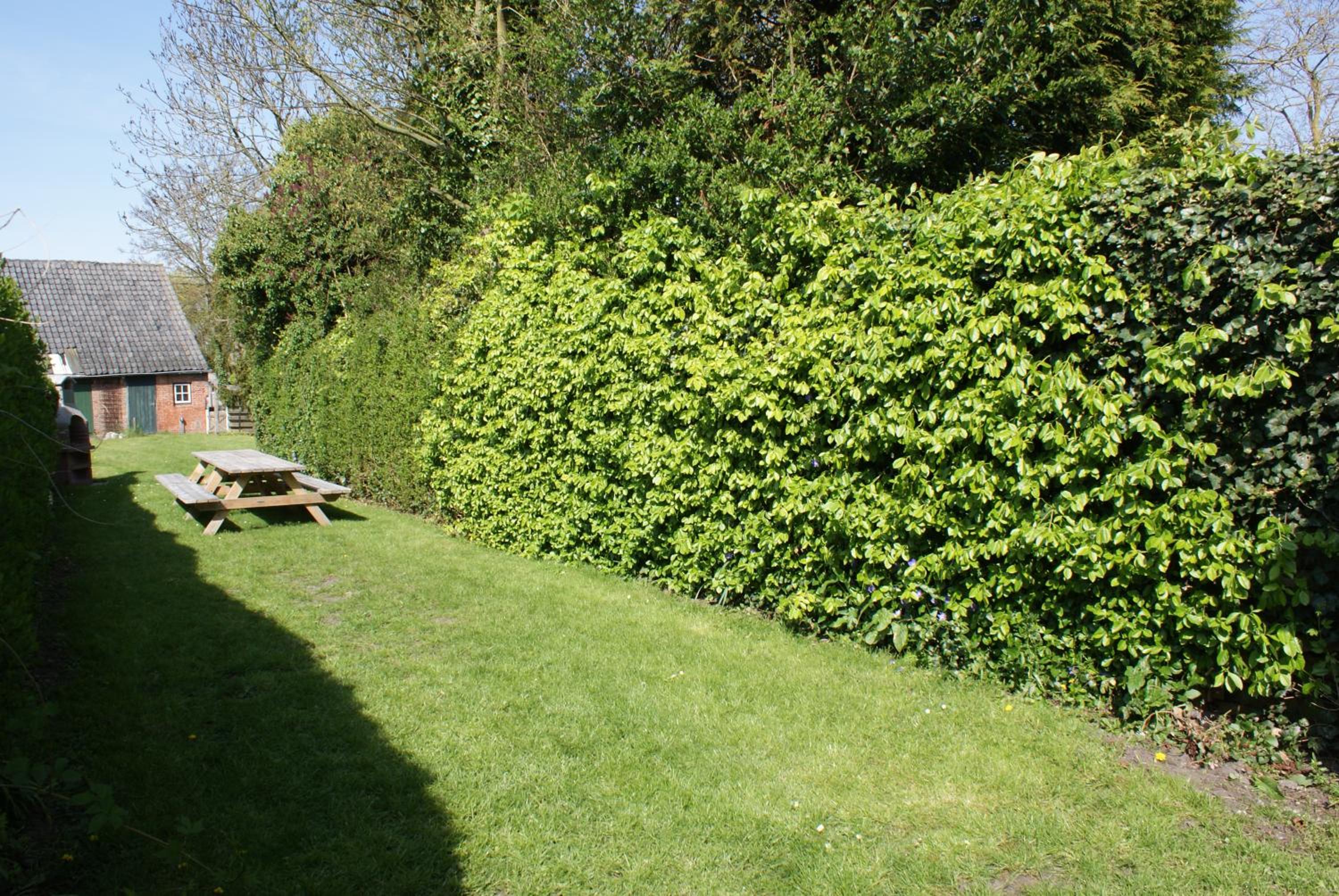 Photo 25