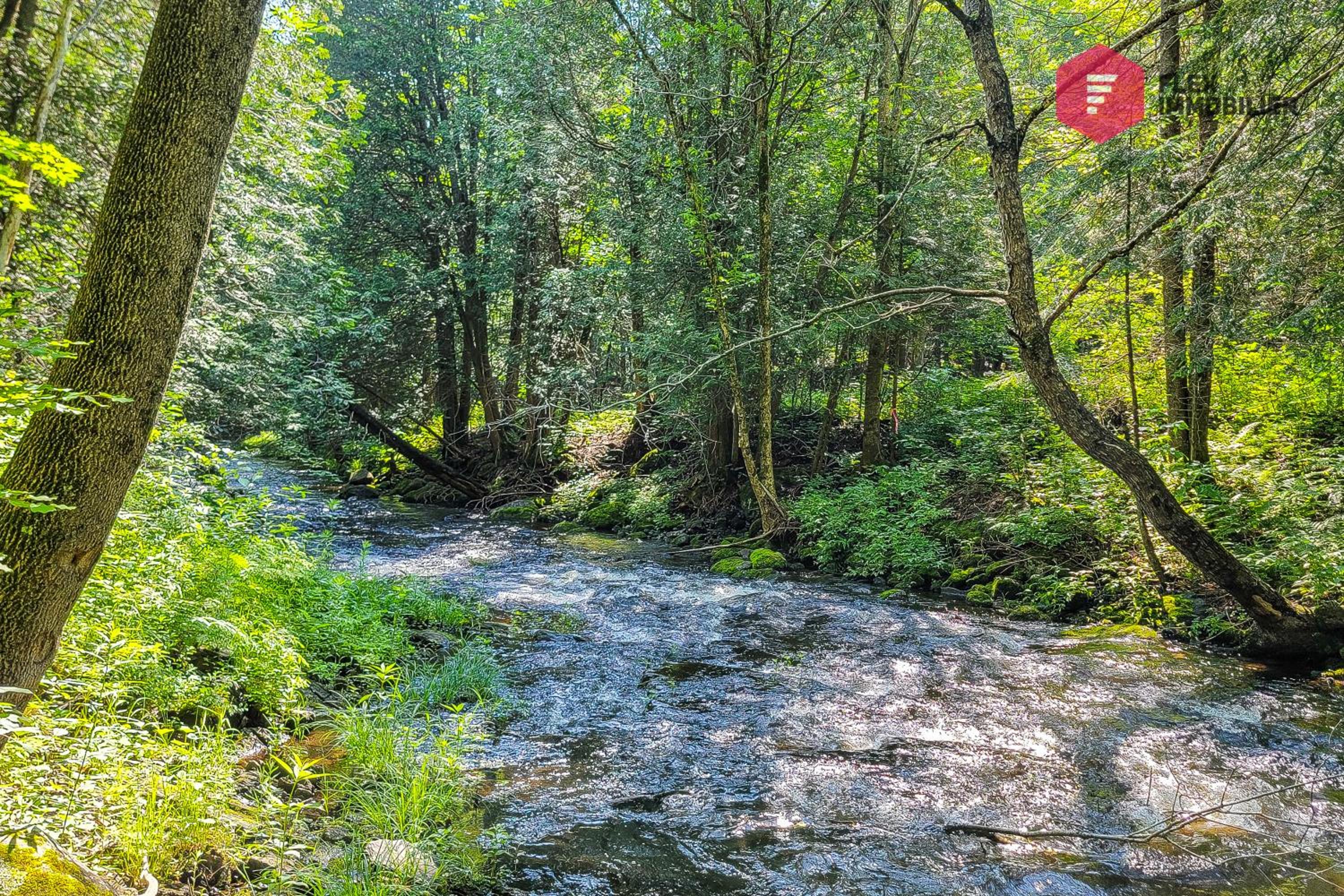 Sunday at the Cherry River / Orford-Magog Getaway
