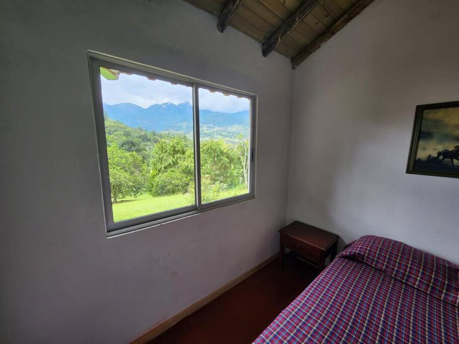Finca Albacerrada - finca cafetera