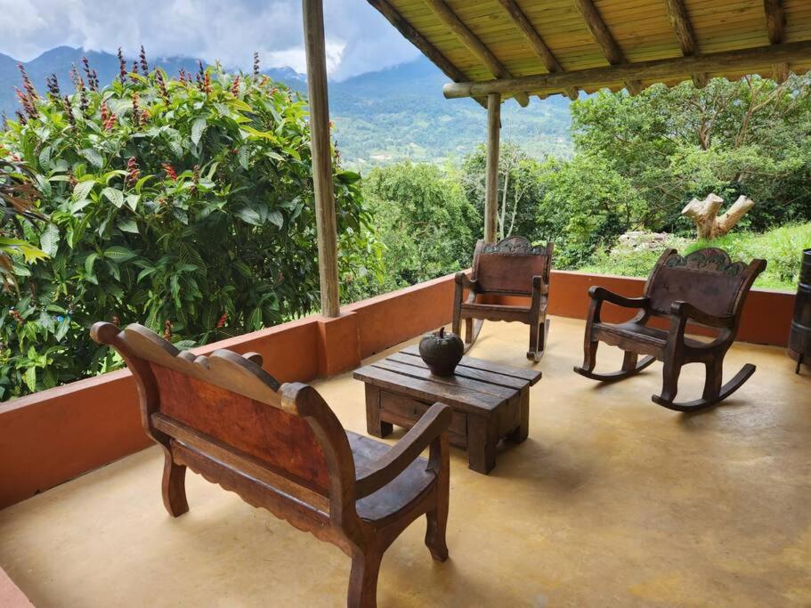Finca Albacerrada - finca cafetera