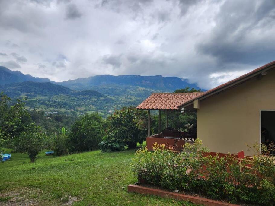Finca Albacerrada - finca cafetera