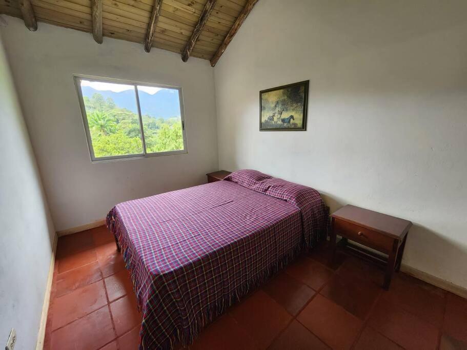 Finca Albacerrada - finca cafetera