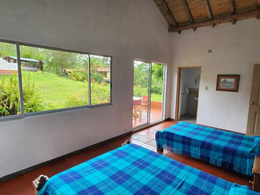 Finca Albacerrada - finca cafetera