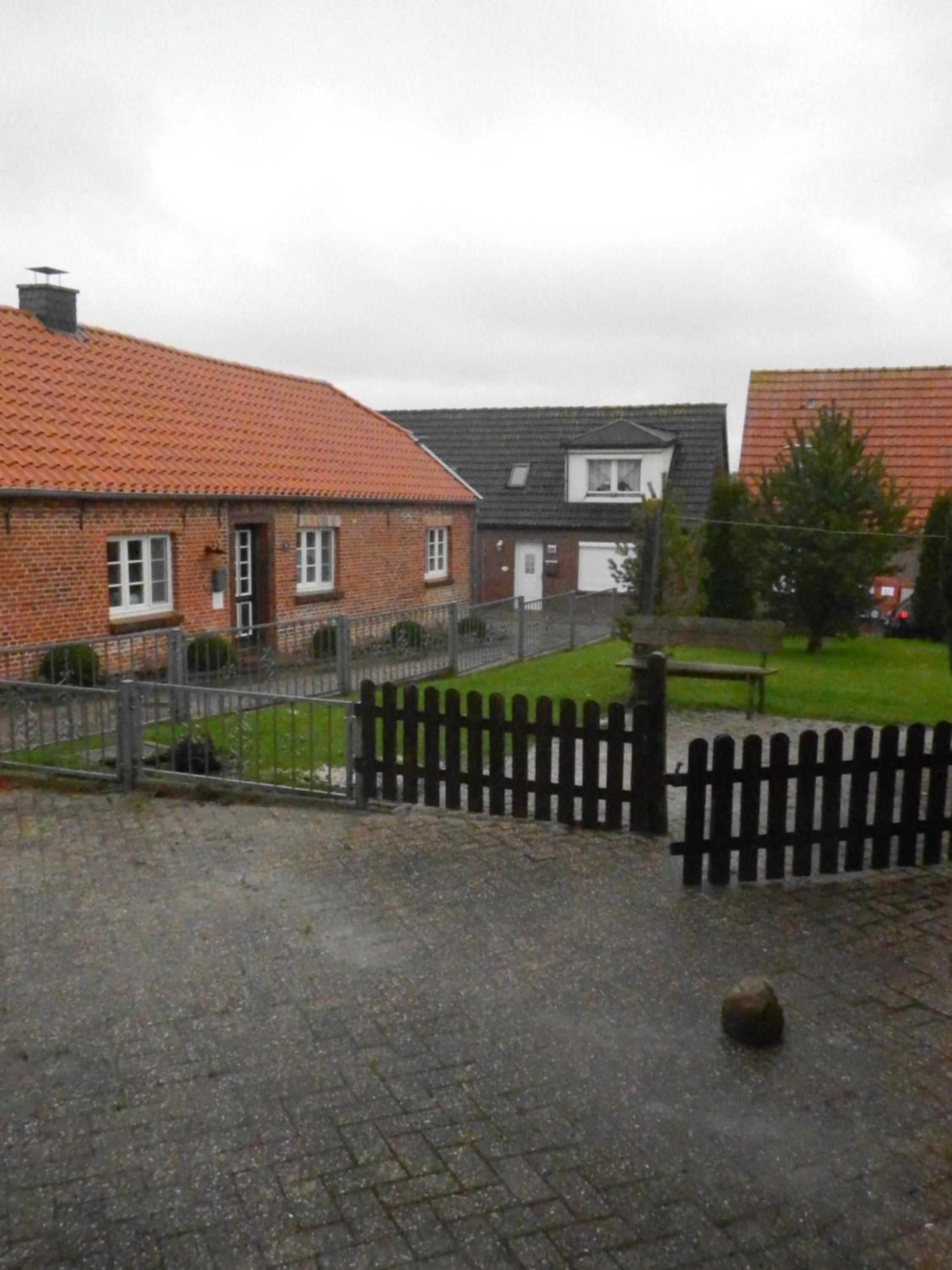 Photo 51