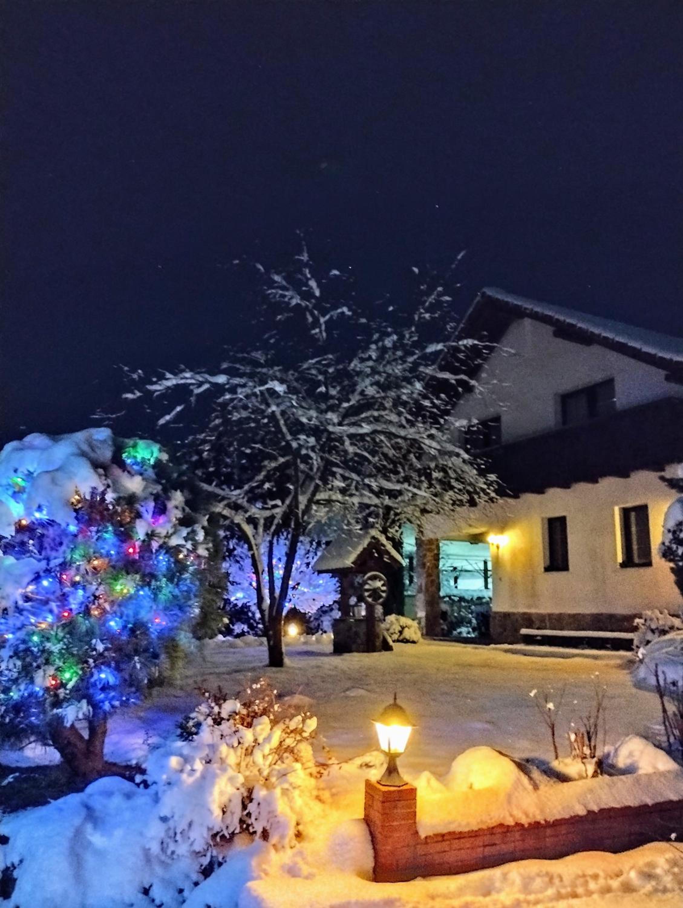 Photo 43