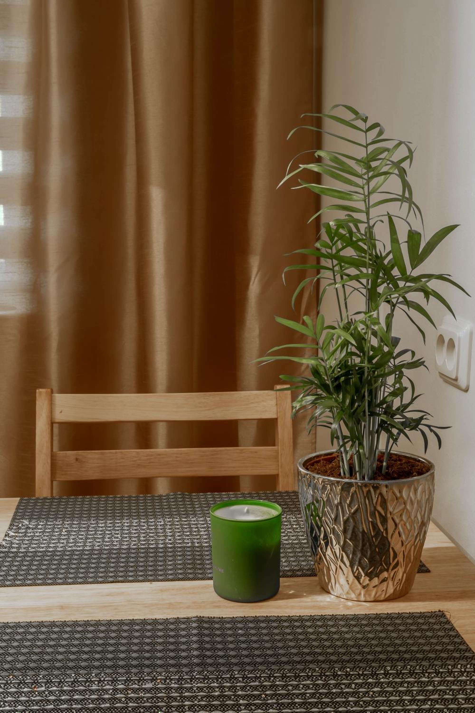 Pikk street Apartment