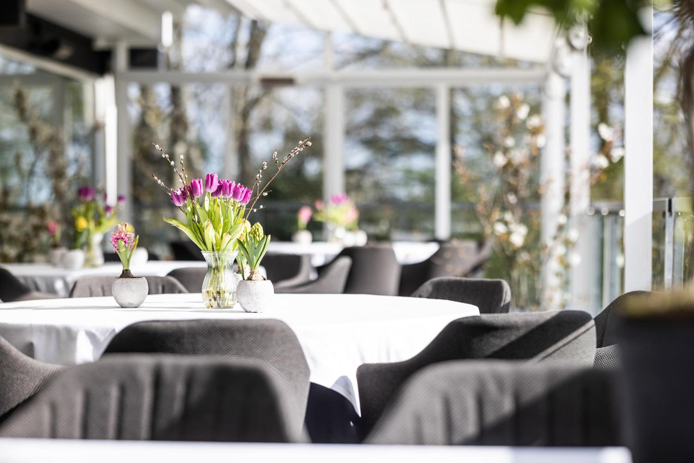 Aalborg Vacations - Hotel Scheelsminde - Property Image 6