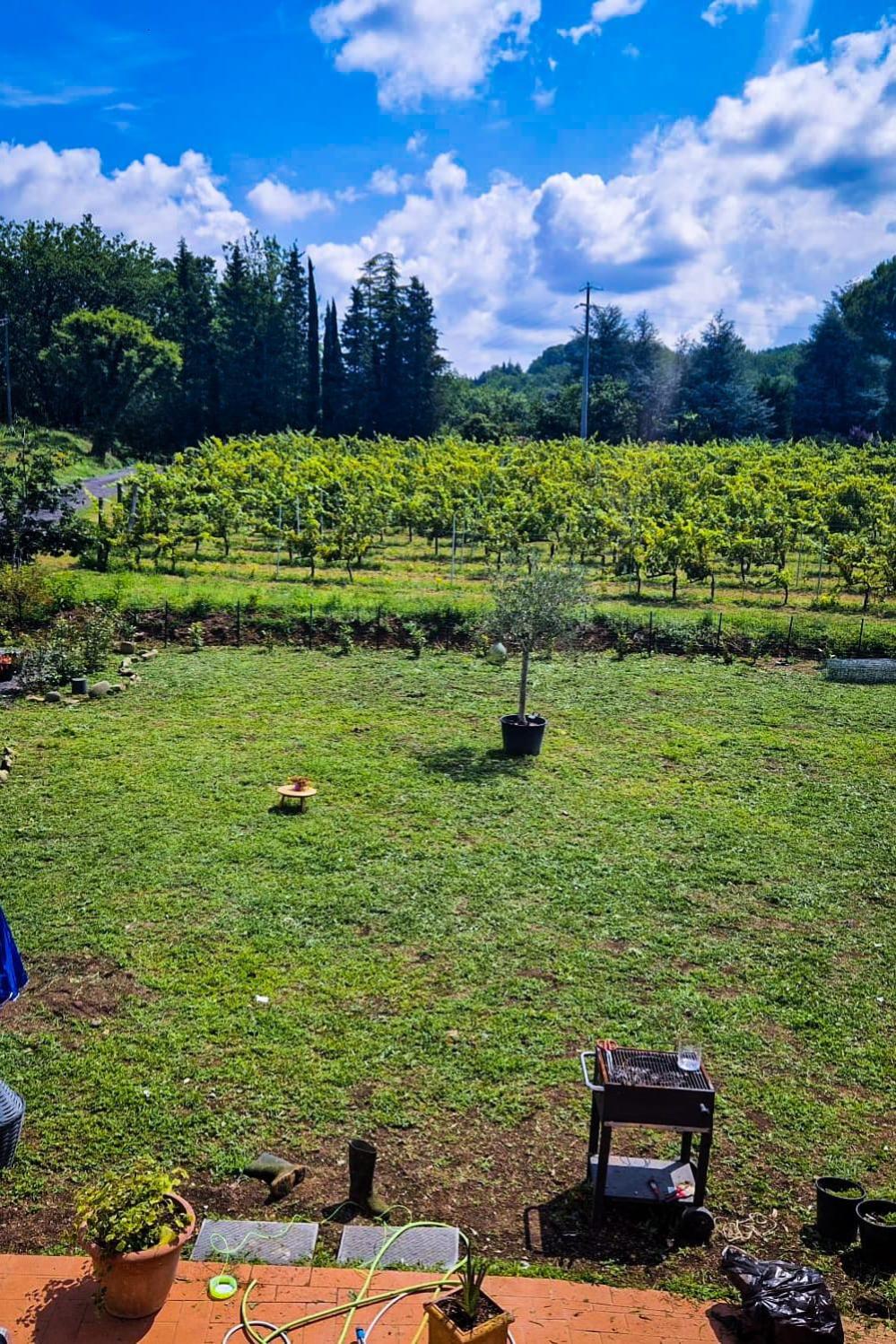 Wine House