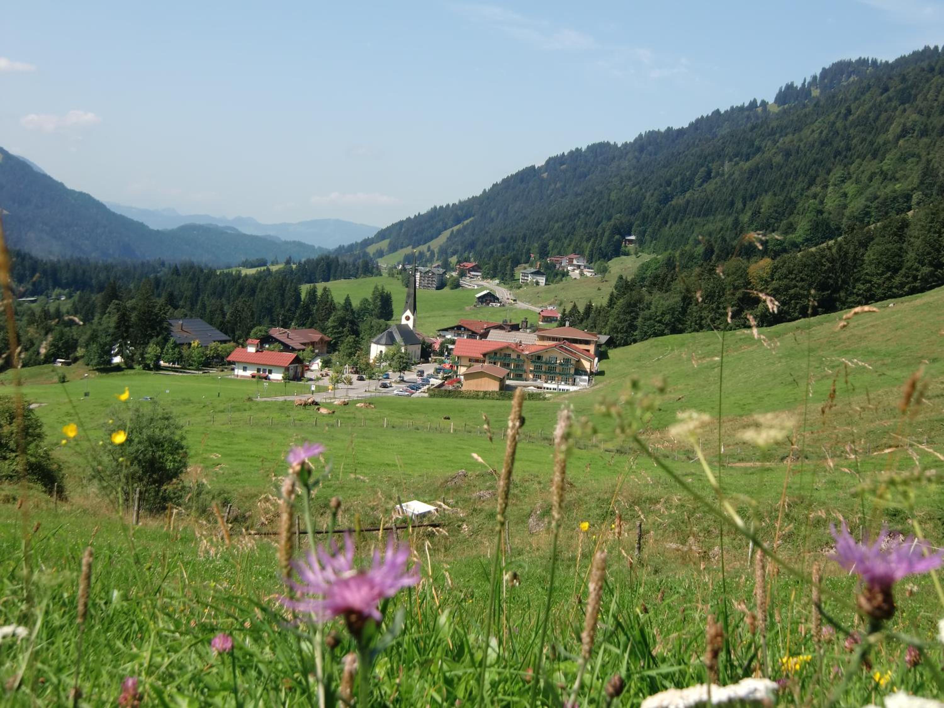 Gemütliche Ferienwohnung Bergwiese, 2-Raum, separates Schlafzimmer, schönen Balkon oder Terrasse, Komfort Ausstattung, ruhige Südlage, kostenfrei WLAN und  view 2