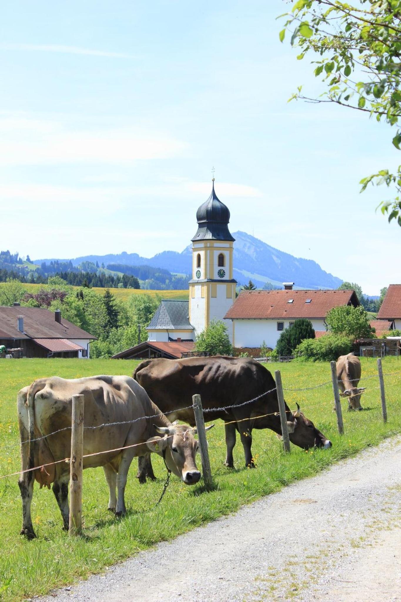 Ferienwohnung Seeglück