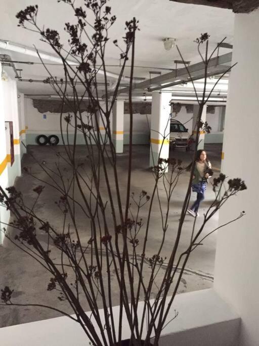 Hermoso departamento en Centro Histórico Quito