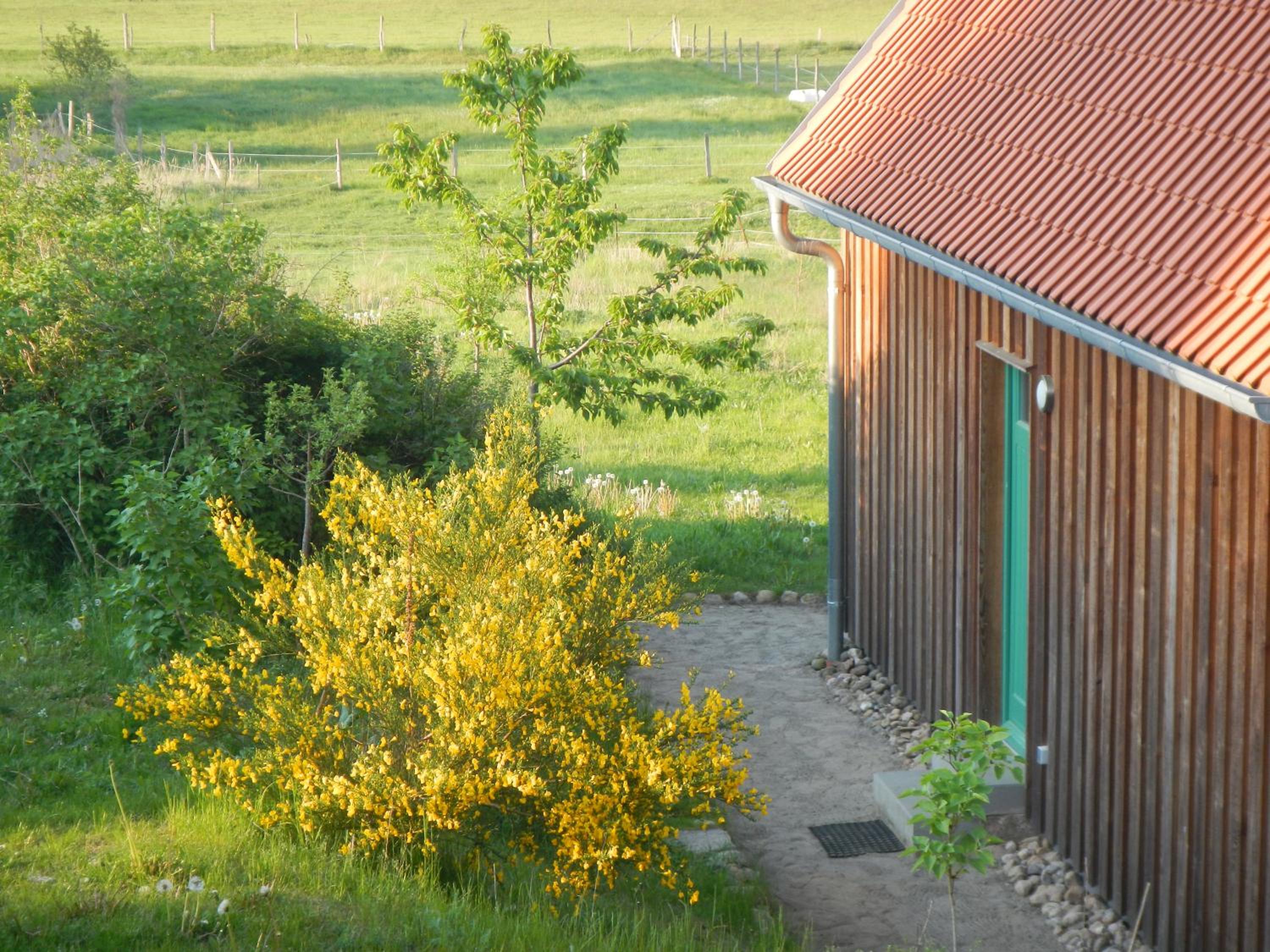 Photo 75