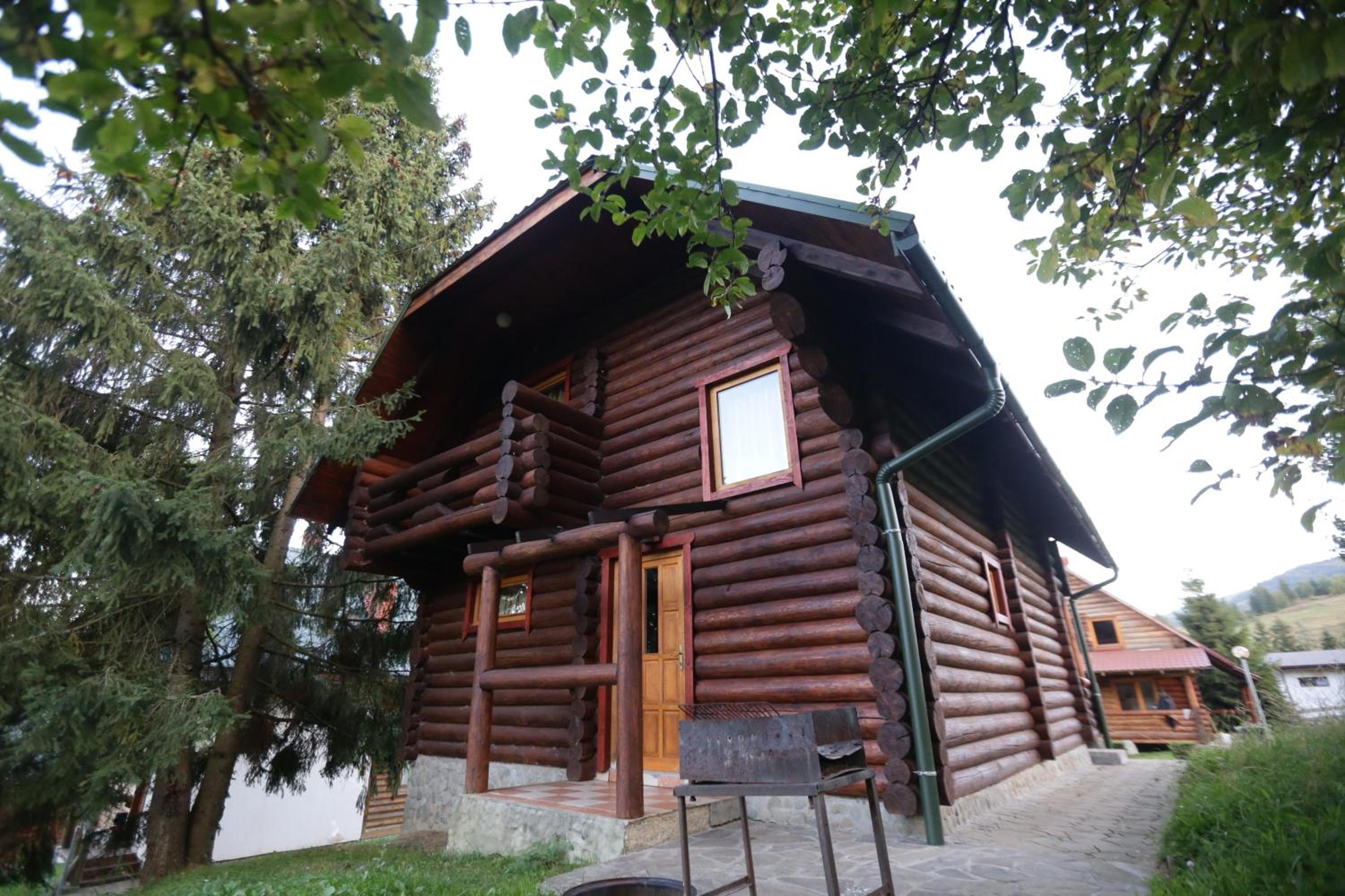 Photo 51
