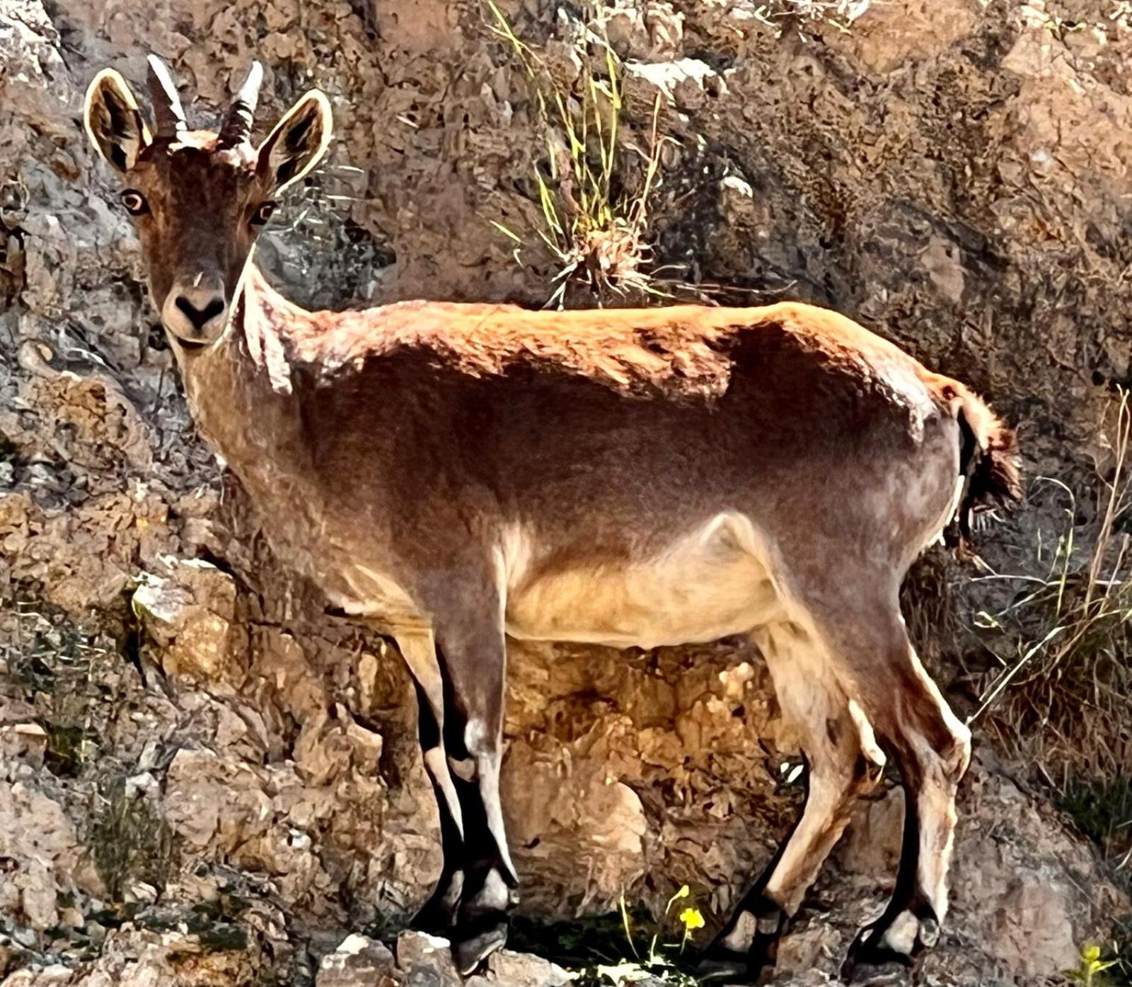 Angustias view 5