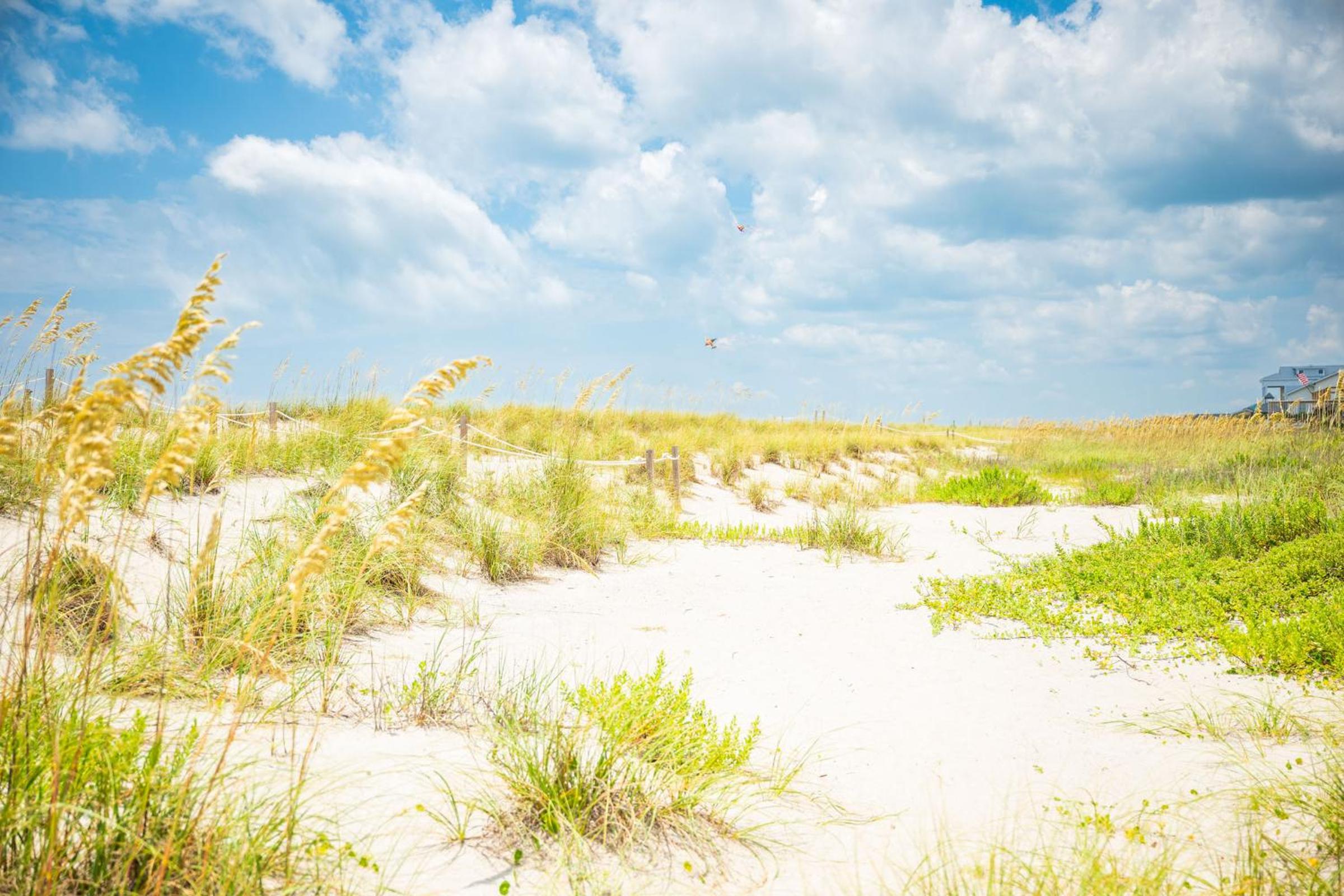 Photo 128