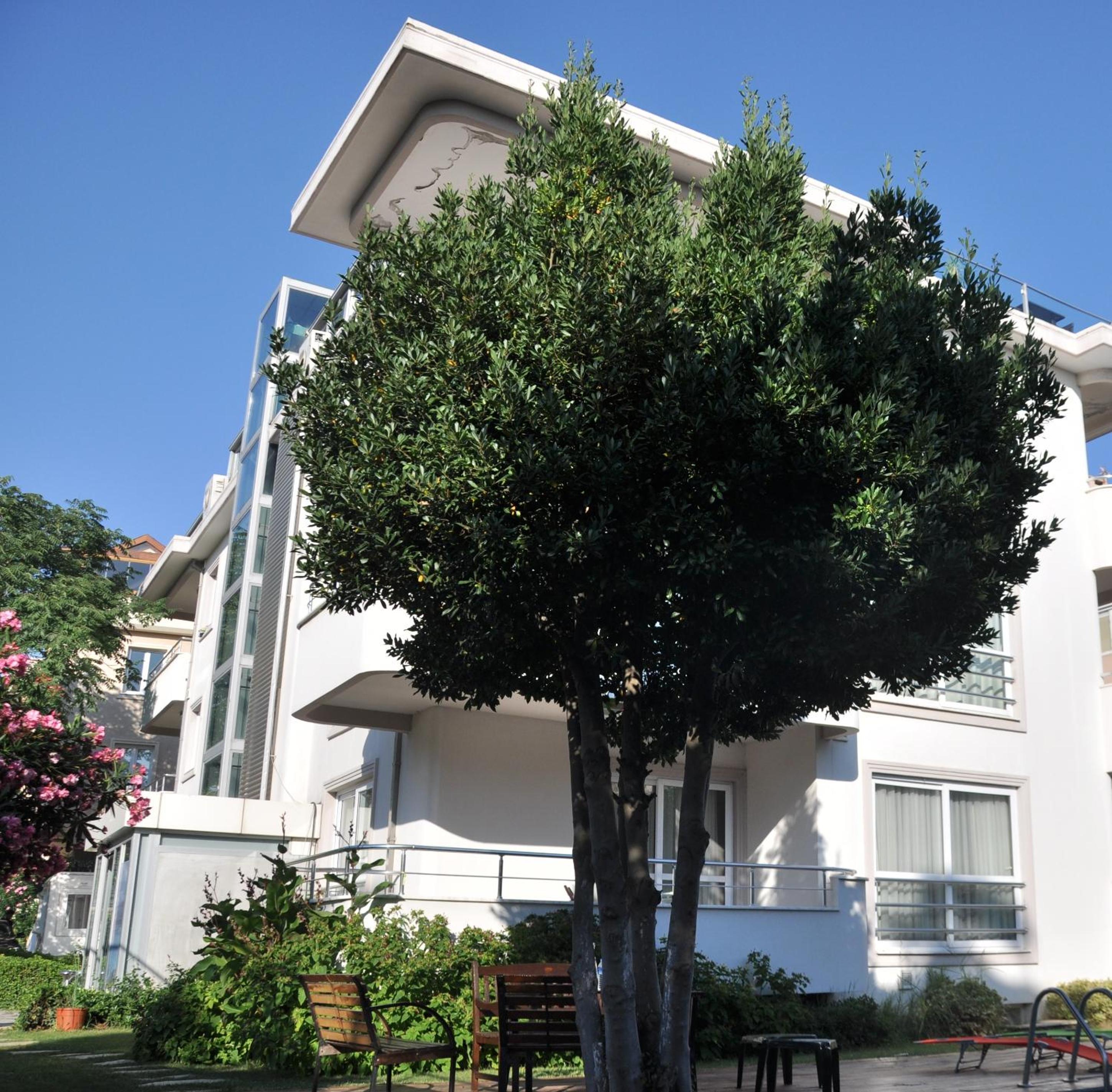 Island Otel - Image 9