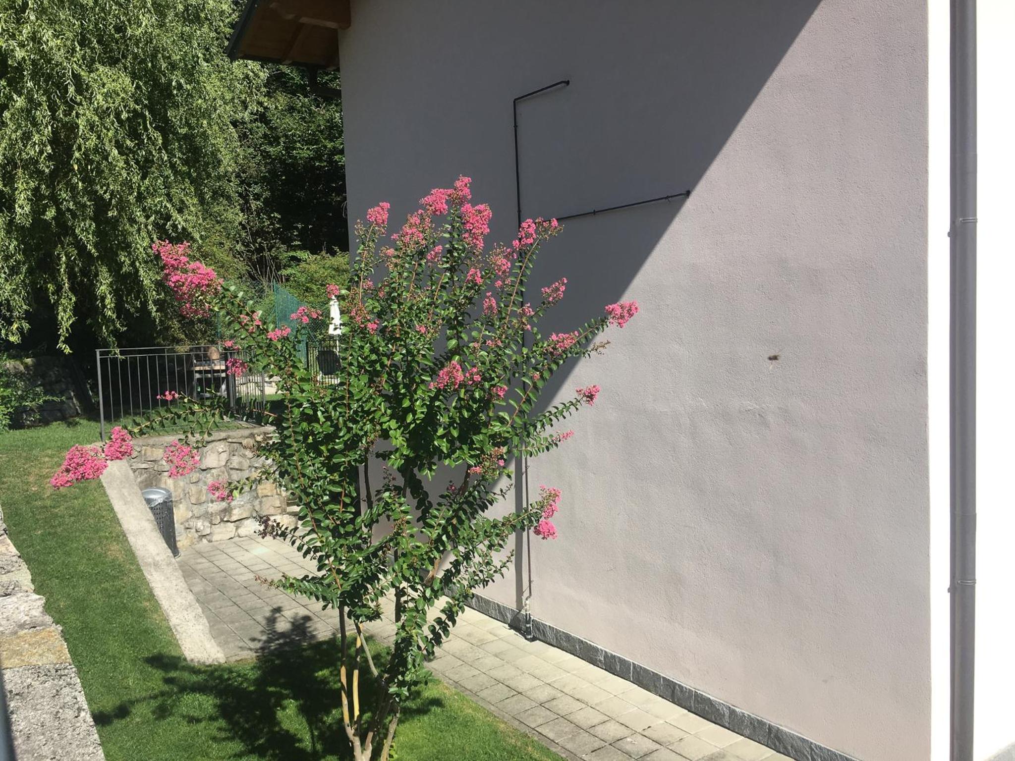 Photo 38