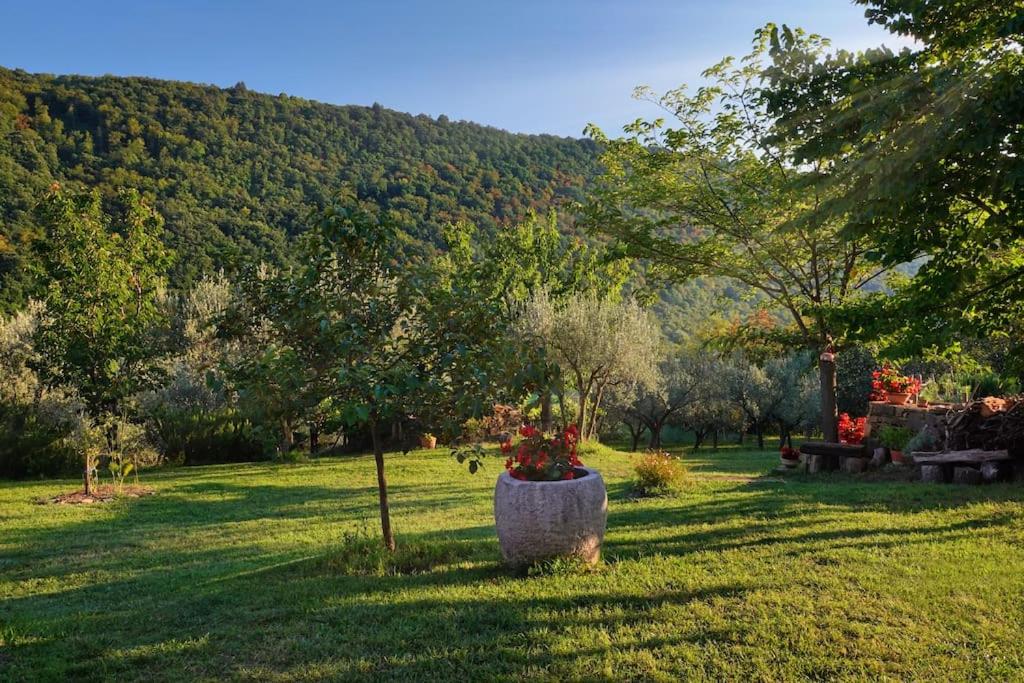 House in Istria in pristine nature view 4