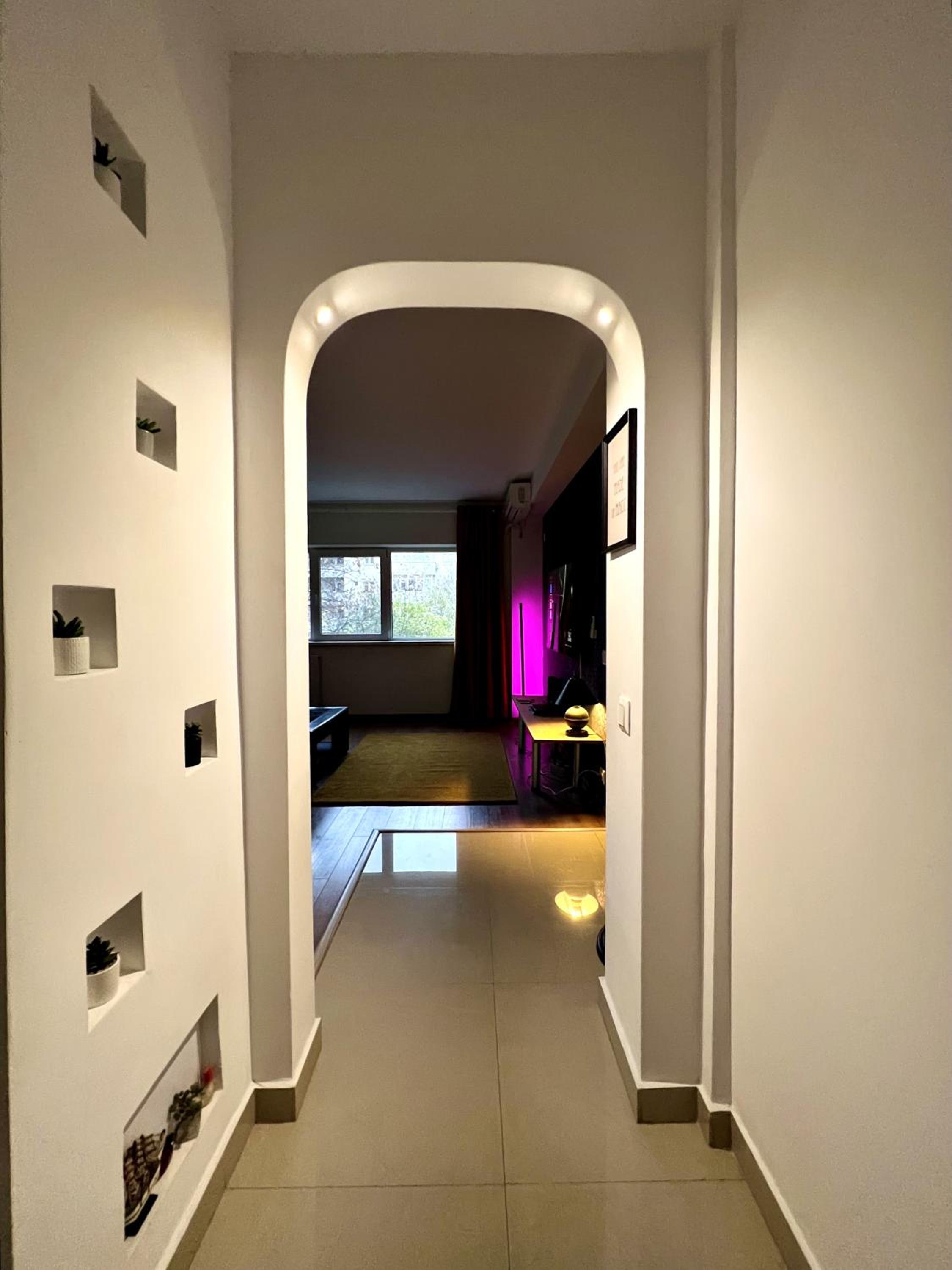 CozySuite