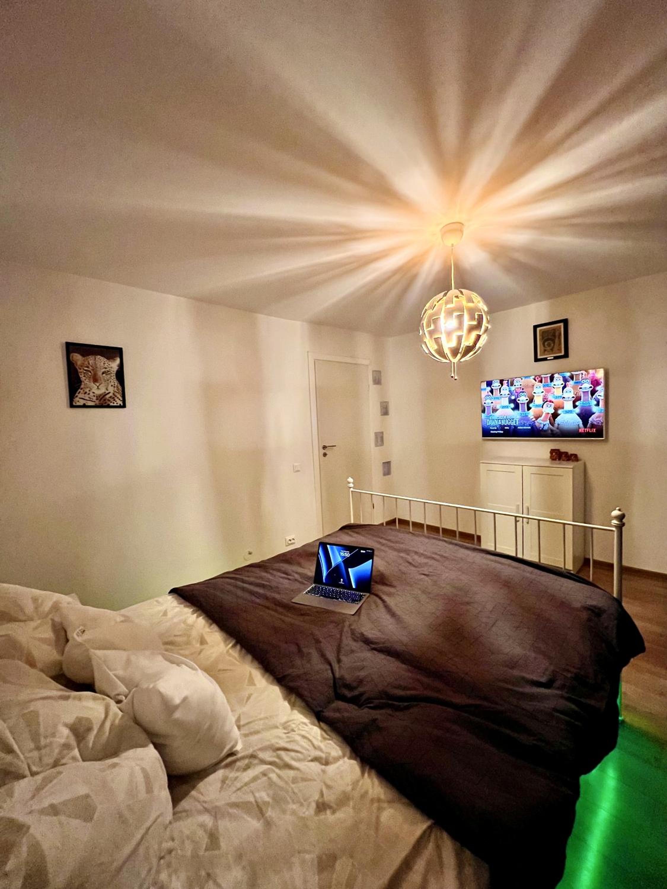 CozySuite