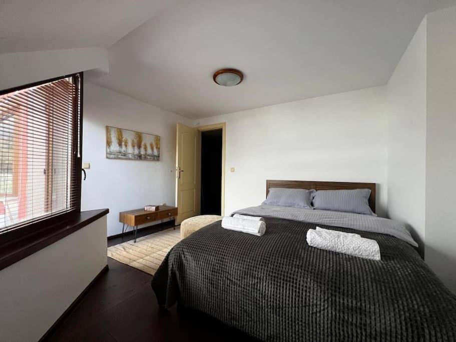 Luxury Apartment in Dragalevtsi