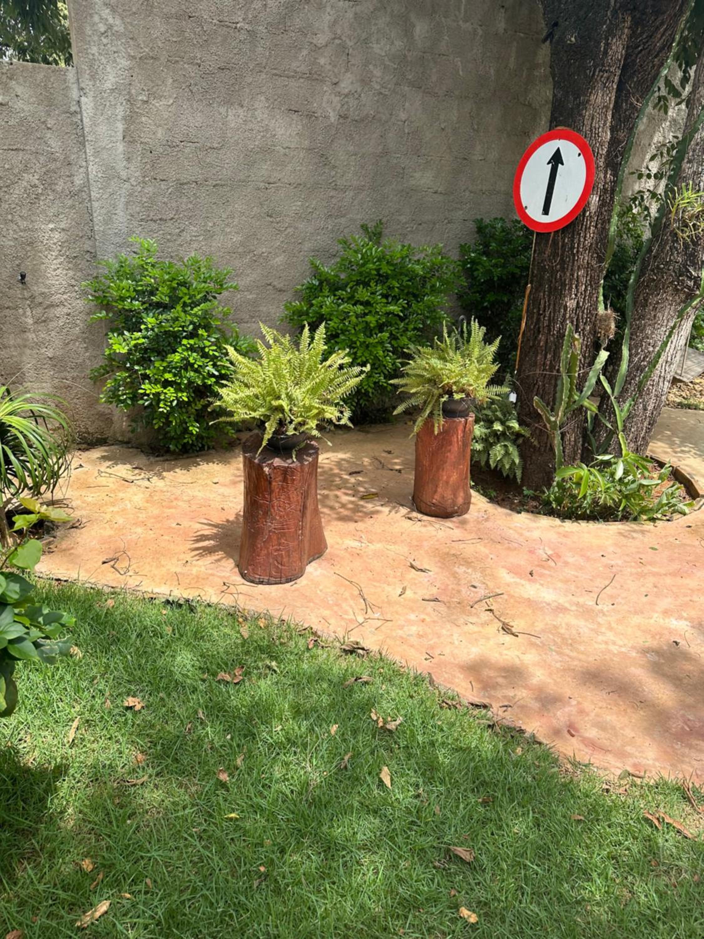 Sítio Maravilhoso a 40min de BH!