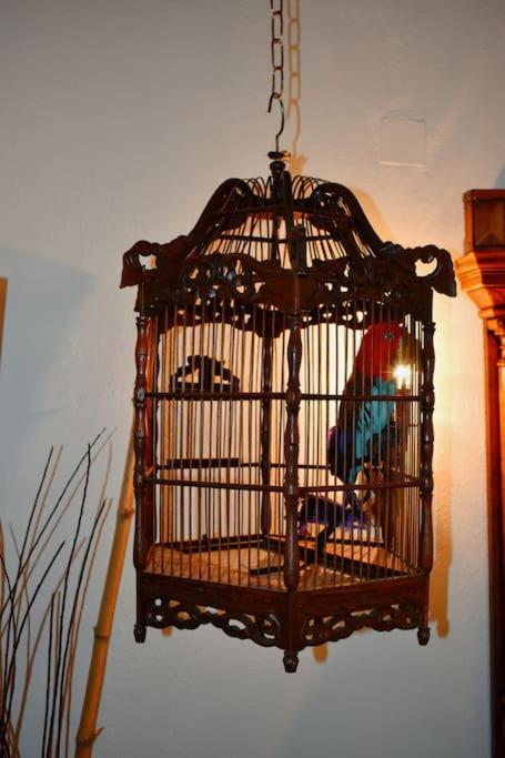 Photo 41