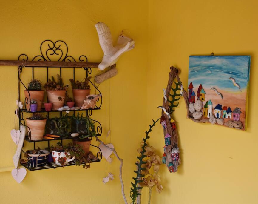Photo 45