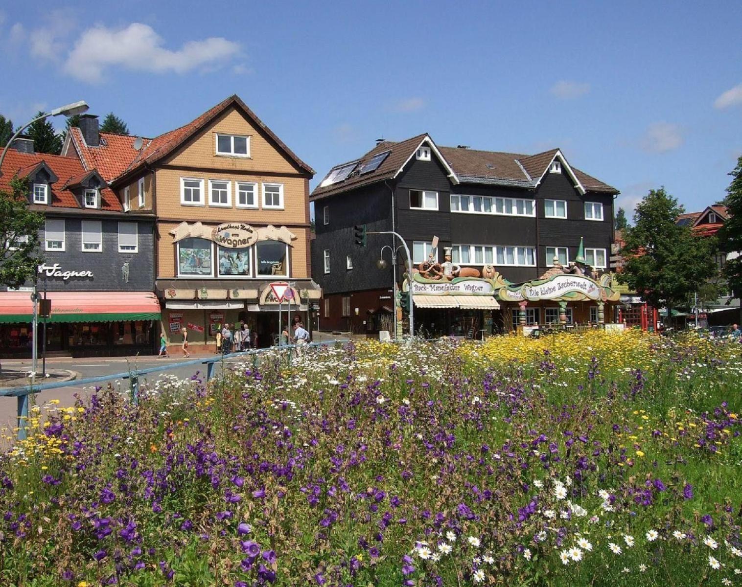 Ferienresidenz-an-der-Bode-Wohnung-3